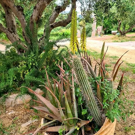 Stone House, Fully Equipped By The Sea Villa Koróni