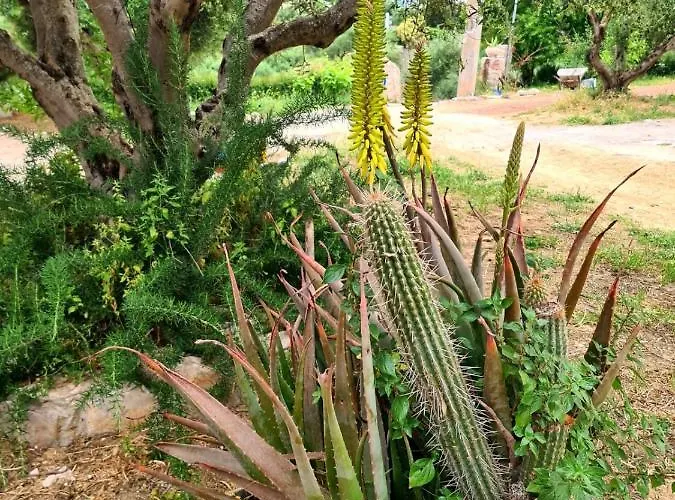 Stone House, Fully Equipped By The Sea Villa Koróni